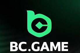 How to Sign Up on BCGame.vc A Comprehensive Guide 1000524065