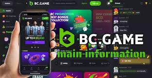 BC.Game Online Platform A Dive into the Future of Crypto Gaming