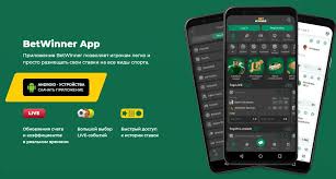 BetWinner Brazil Bonus Guide Unlock Your Winning Potential