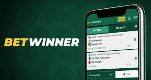 Everything You Need to Know About BetWinner -832571011
